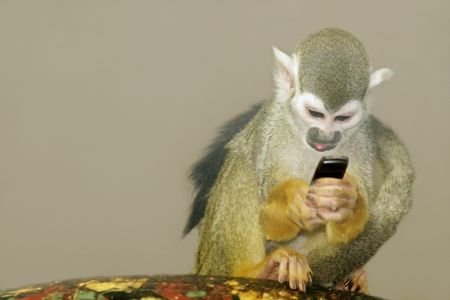 Monkey with a phoneの写真素材