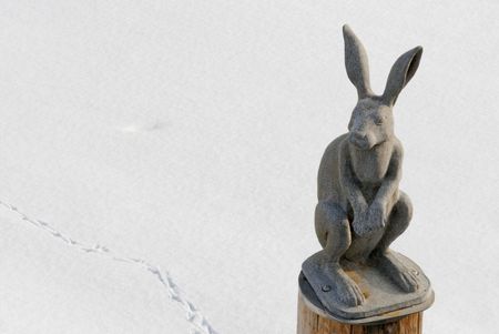 Monument to a hare in Saint Petersburgの写真素材