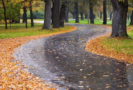 Autumn road-1の写真素材