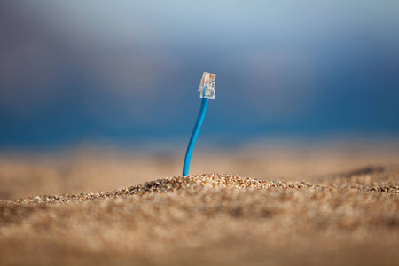 Internet cables on a beach