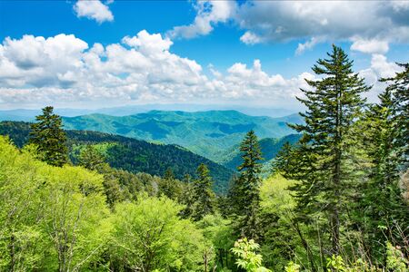 Green hills, meadows, forest and sky. Summer mountain landscape. Near Asheville, Blue Ridge...