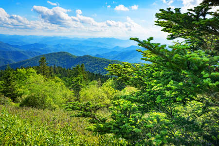 View of the Smoky Mountains from the Blue Ridge Parkway in North Carolina. Blue sky with  clouds over layers of green hills and  mountains.  Copy space. North Carolina.の写真素材