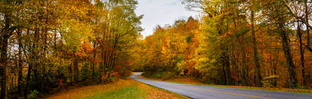 Country road in colorful  autumn forest. Blue Ridge Parkway fall season. Asheville, North Carolina, USA.の写真素材