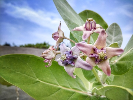 Five brother against cruel worldの写真素材