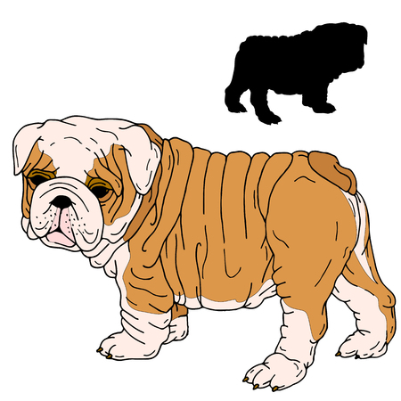Bulldog puppy realistic black silhouetteのイラスト素材