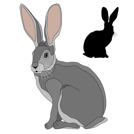 gray hare realistic set of black silhouette illustrationのイラスト素材