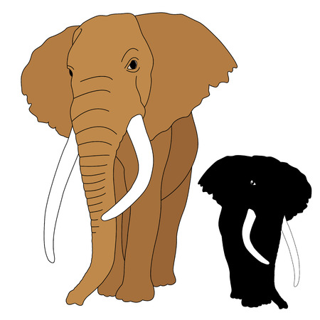 elephant adult realistic silhouetteのイラスト素材