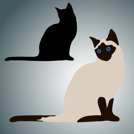 Siamese cat sits realistic setのイラスト素材