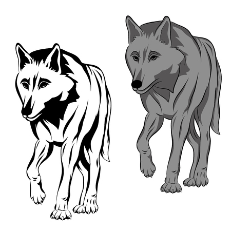 adult wolf is realistic black silhouette setのイラスト素材