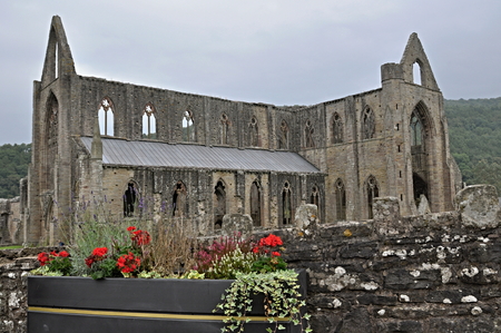 Tintern Abbeyの写真素材