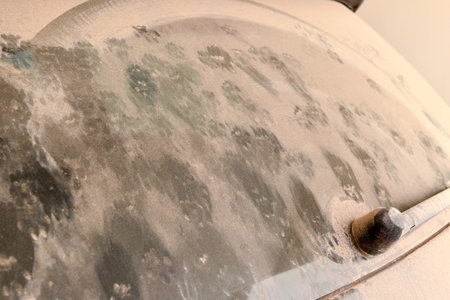 Cat footprint on dirty car rear window.の写真素材