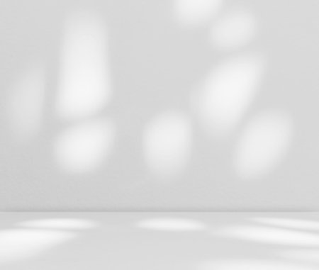 Empty white gray room studio with leaves shadow overlay. Sunlight and shadow effect. Cosmetic...
