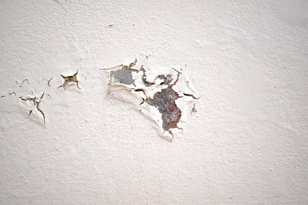 Peeling painted concrete wall. Leaking rain cause the wall cracked. Water damaged the wall.