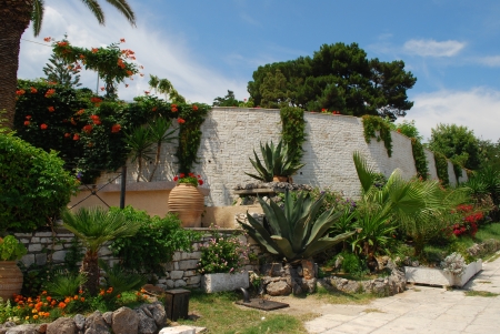 Brick wall covered with grass and flowers with tropical trees and palms near itの写真素材