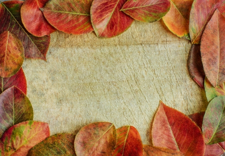 Autumn leaves on a wooden background with copy spaceの写真素材