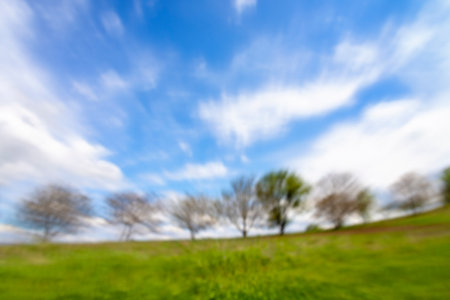 landscape green grass field with blur trees background and blue sky with clouds in motion effectの写真素材