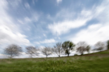 Blurred image of a meadow with trees in the background.の写真素材