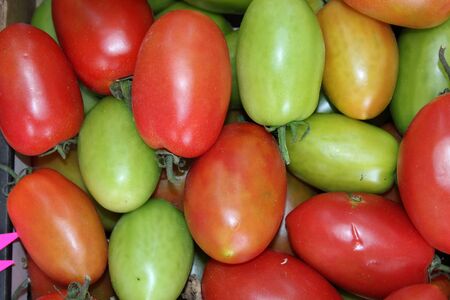 green and red tomatoesの写真素材