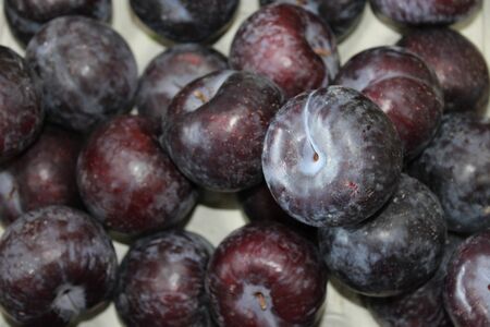 red plum fruit close viewの写真素材