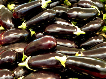 eggplant vegetable fresh vegetable eggplant