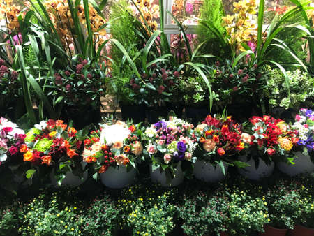 flowers decorated outside a flower shopの写真素材