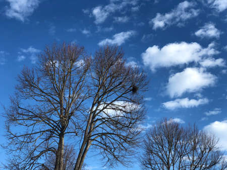 beautiful clouds on the blue skyの写真素材
