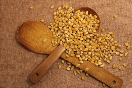 corn seeds on table in kitchenの写真素材