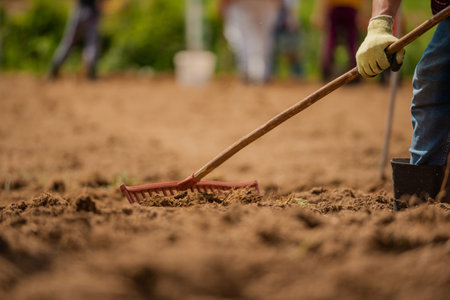 Team of farmers are working on an agricultural fields on the country garden.の写真素材