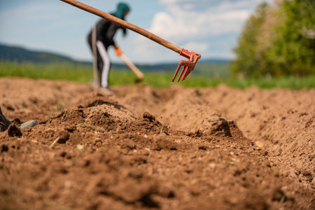 Team of farmers are working on an agricultural fields in spring.