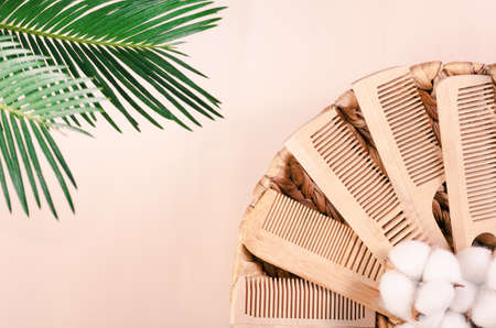 Set of eco-friendly combs made of wood in a wicker basket with overhanging tropical leaves.の写真素材