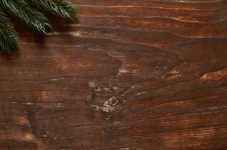 Branch of spruce on a vintage wooden background.の写真素材