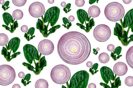 pattern of spinach and onions on a white isolated background.の写真素材