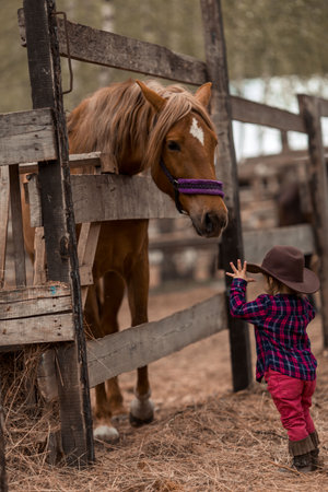 a horse in a stall with a child in a cowboy costume
