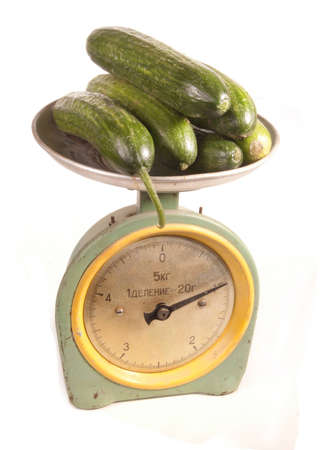 cucumbers are weighed on scalesの写真素材