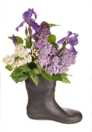 Flowers stand in a bootの写真素材