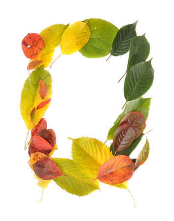 The framework is combined from autumn leavesの写真素材