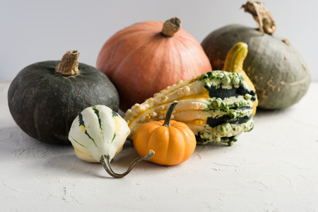 Pumpkins, gourds, squashes. Selective focus, copy space, toned imageの写真素材