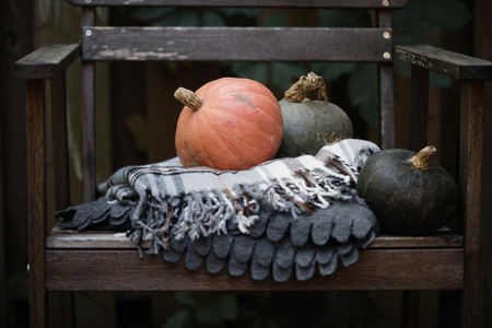 Squashes on fall blankets on a chair. Outdoor, autumn, backyard. Selective focus, copy space, toned imageの写真素材