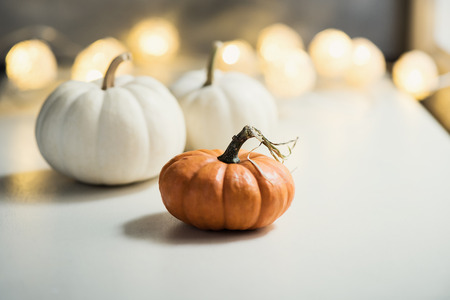 Pumpkins or white gourds. Fall or autumn festive background. Thanksgiving. Selective focus, copy spaceの写真素材