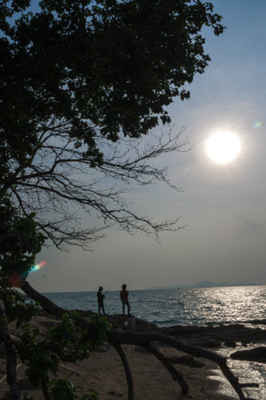 silhouettesの写真素材