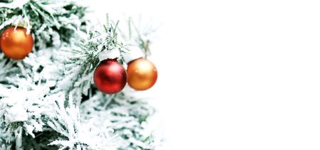 christmas tree isolated on white backgroundの写真素材