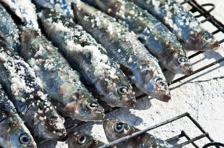 sardines ready for the  grillの写真素材
