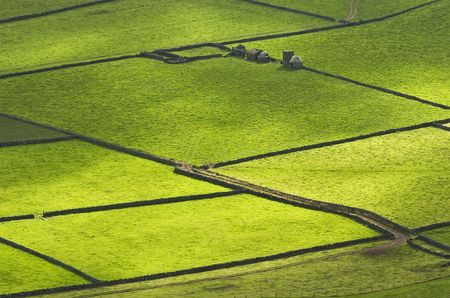 Farm fields in the Terceira island in Azoresの写真素材