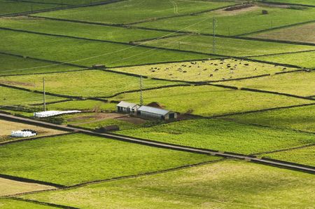 Farm fields in the Terceira island in Azoresの写真素材