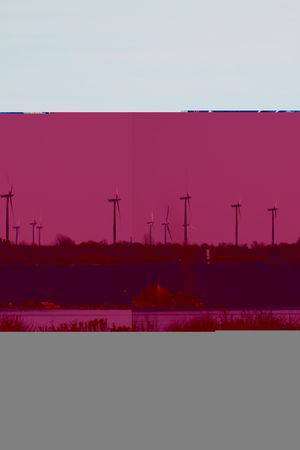 Chicken stir fry with red peppers onion and green beans の写真素材