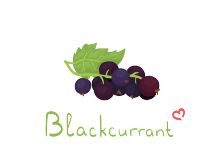 Cartoon vector illustration with blackcurrant isolated on white background. Cute summer berries with lettering. Use for fabric print, food package, wrapping paper. Juice/smoothie decoration.のイラスト素材
