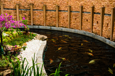 tree with flowers on the background of the stream with Chinese fish koi carp brick wall greens and woodの写真素材