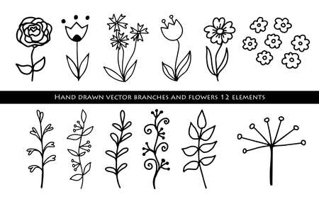 Hand drawn linear leaves, branches. Botanical elements growing plants. Vector illustration.のイラスト素材