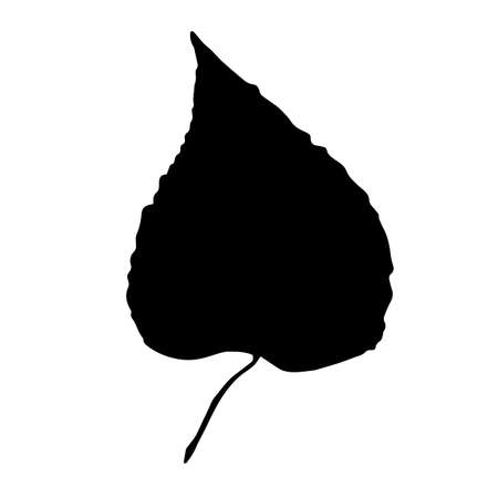 Black silhouette of an autumn leaf: linden. The leaves of natures trees are falling. Isolated white background.のイラスト素材