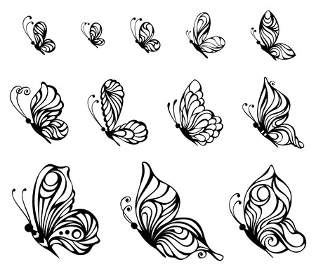 Vector set of butterflies. Handdrawn ornate butterflies isolated on white background.のイラスト素材